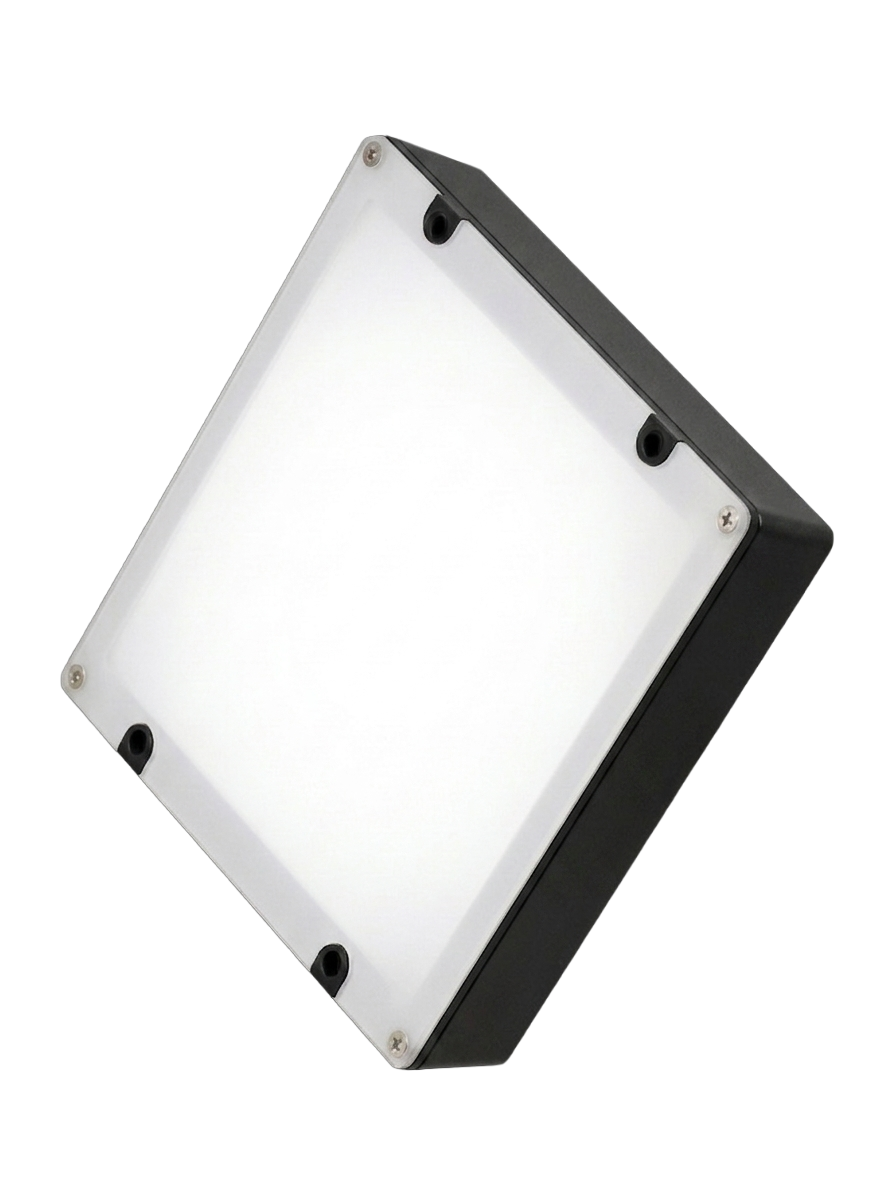 Back Light